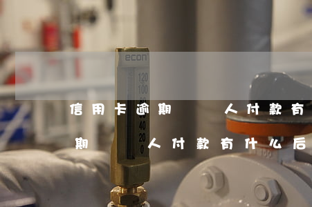 信用卡逾期對個人付款有什么后果(信用卡逾期對個人付款有什么后果)