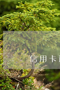 信用卡逾期對儲蓄卡止付(信用卡被止付)
