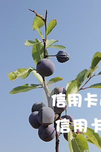 信用卡逾期對公司公戶有什么影響-逾期對信用卡的影響