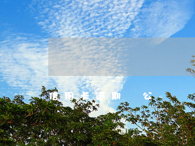 信用卡逾期對公賬戶