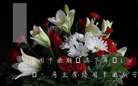 信用卡逾期對名下房產(chǎn)的影響嗎-房主有信用卡逾期可以進行房子過戶嗎