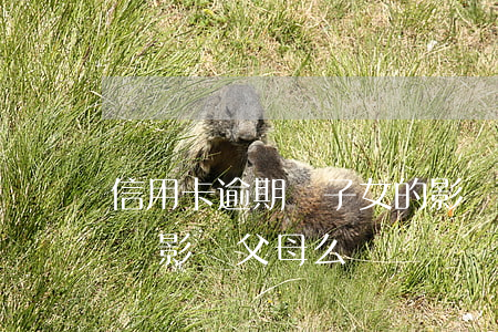 信用卡逾期對子女的影響(子女的信用卡逾期會影響父母么)