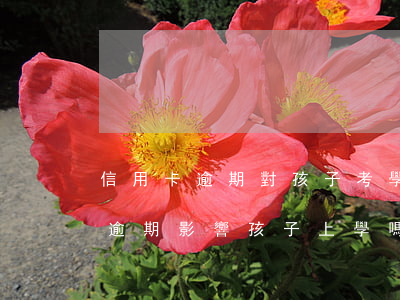 信用卡逾期對孩子考學會影響嗎-欠信用卡逾期影響孩子上學嗎