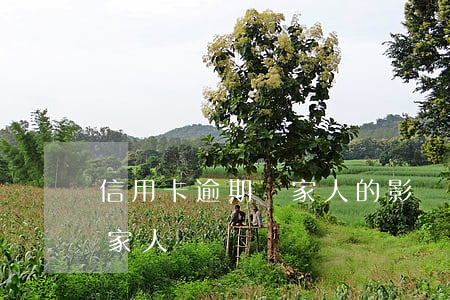 信用卡逾期對家人的影響嗎(欠信用卡會影響家人嗎)