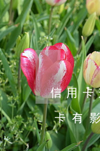 信用卡逾期對工作有影響么(貸款逾期對信用卡有影響嗎)