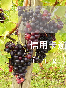 信用卡逾期對工廠有影響嗎(信用卡 曾經(jīng)有逾期 影響)
