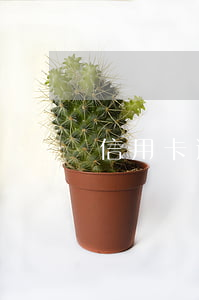 信用卡逾期對廉租房有影響嗎