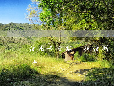 信用卡逾期對征信影響大么(逾期會影響信用卡嗎)