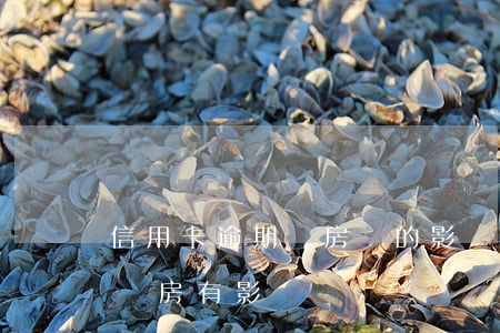信用卡逾期對房貸的影響(信用卡逾期對貸款買房有影響嗎)