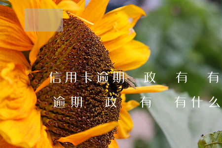 信用卡逾期對政審有沒有什么影響-信用卡逾期對政審有沒有什么影響呢