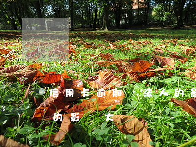 信用卡逾期對法人的影響(信用卡逾期對法人的影響大嗎)