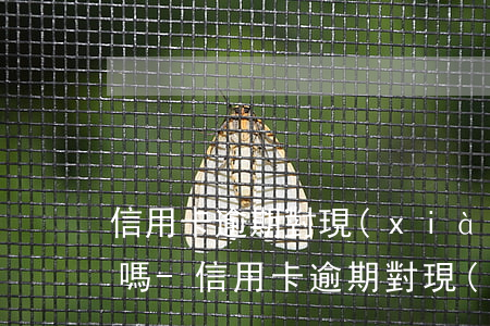信用卡逾期對現(xiàn)有房貸有影響嗎-信用卡逾期對現(xiàn)有房貸有影響嗎