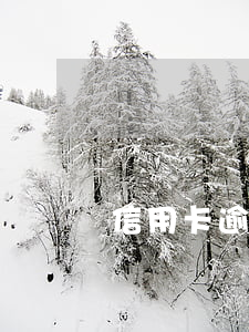信用卡逾期對當兵有影響么