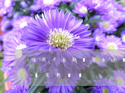 信用卡逾期對空乘政審(信用卡逾期對空乘政審有影響嗎)