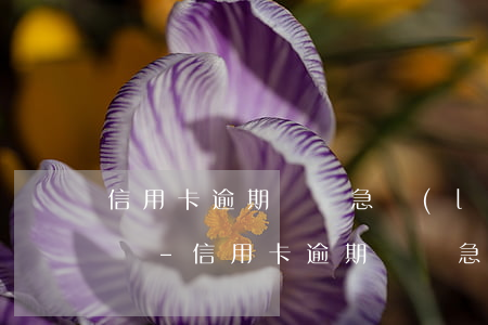 信用卡逾期對緊急聯(lián)系人的影響-信用卡逾期對緊急聯(lián)系人的影響有哪些