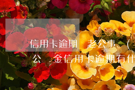 信用卡逾期對老公事業(yè)單位的影響(公積金信用卡逾期有什么影響)