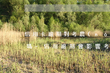 信用卡逾期對考農(nóng)信社有影響嗎-信用逾期會影響考公務(wù)員嗎