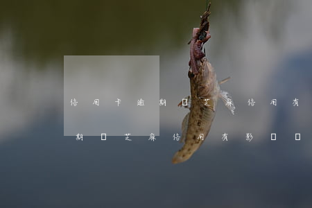 信用卡逾期對芝麻信用有影響嗎-信用卡逾期對芝麻信用有影響嗎知乎