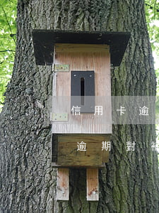 信用卡逾期對補辦身份證有影響嗎?-信用卡逾期對補辦身份證有影響嗎