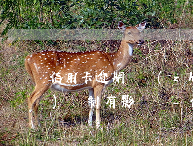 信用卡逾期對轉(zhuǎn)事業(yè)編制有影響嗎-信用卡逾期對轉(zhuǎn)事業(yè)編制有影響嗎知乎