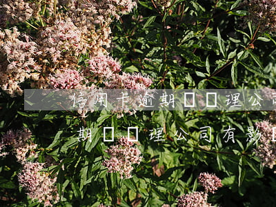 信用卡逾期對辦理公司有影響嗎-信用卡逾期對辦理公司有影響嗎知乎