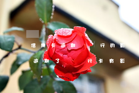 信用卡逾期對銀行的影響大嗎(辦信用卡如果逾期了對銀行卡有影響嗎)
