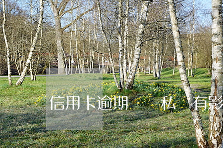 信用卡逾期對開私戶有影響