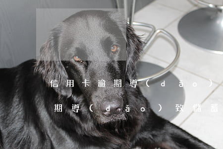 信用卡逾期導(dǎo)致儲蓄卡(信用卡逾期導(dǎo)致儲蓄卡被鎖定怎么解決)