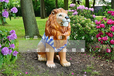 信用卡逾期導(dǎo)致其他信用卡止付-信用卡逾期導(dǎo)致其他信用卡止付怎么辦