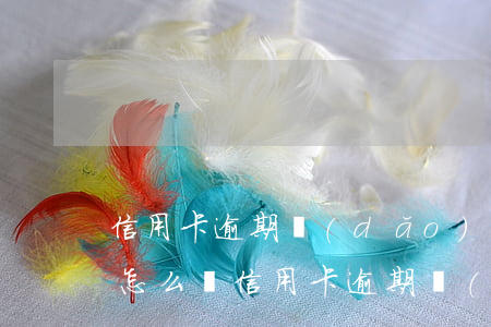 信用卡逾期導(dǎo)致凍結(jié)怎么辦(信用卡逾期導(dǎo)致銀行卡凍結(jié)怎么辦)