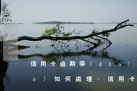 信用卡逾期導(dǎo)致卡片凍結(jié)如何處理-信用卡逾期導(dǎo)致卡片凍結(jié)如何處理呢