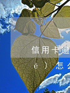 信用卡逾期導(dǎo)致卡片凍結(jié)怎么還款-信用卡逾期導(dǎo)致卡片凍結(jié)怎么還款呢