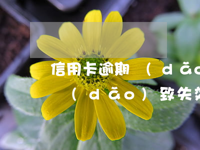 信用卡逾期導(dǎo)致失效(信用卡逾期導(dǎo)致失效)