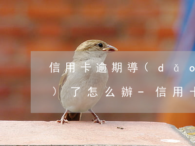 信用卡逾期導(dǎo)致工作沒(méi)了怎么辦-信用卡逾期導(dǎo)致工作沒(méi)了怎么辦理