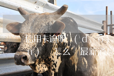 信用卡逾期導(dǎo)致征信有問(wèn)題怎么辦最新消息-信用卡逾期導(dǎo)致征信有問(wèn)題怎么辦最新消息