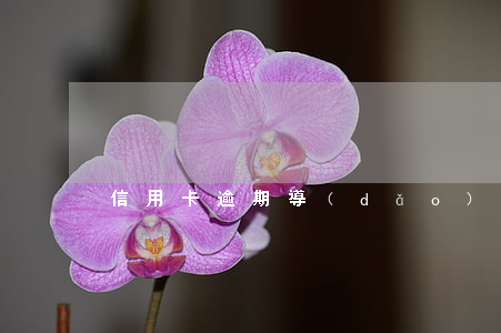信用卡逾期導(dǎo)致成失信人員