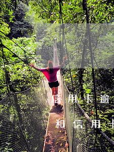 信用卡逾期導(dǎo)致政審不合格(政審和信用卡逾期有關(guān)嗎)