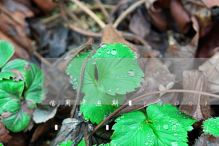信用卡逾期導(dǎo)致網(wǎng)貸停用(網(wǎng)貸逾期會(huì)導(dǎo)致信用卡被凍結(jié)嗎)