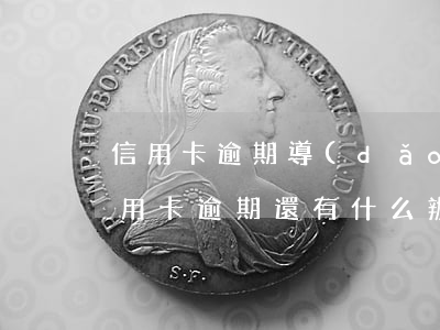 信用卡逾期導(dǎo)致花唄停用(花唄信用卡逾期還有什么辦法貸款)