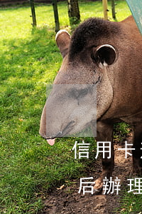 信用卡逾期導(dǎo)致辦不了入職(逾期后辦理信用卡)