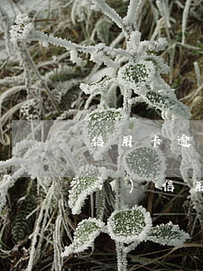 信用卡逾期導(dǎo)致限制消費(fèi)(信用卡 超前消費(fèi))