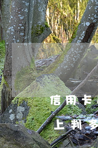 信用卡逾期小于10元(信用卡逾期10萬以上判多少)