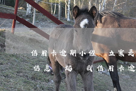 信用卡逾期小催說立案是真的嗎(發(fā)信息說起訴我信用卡逾期是真的還是催收)