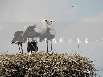 信用卡逾期小本金小于一萬(小金額信用卡逾期)