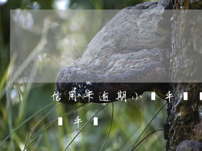 信用卡逾期小貸平臺會起訴嗎（信用卡逾期小貸平臺）