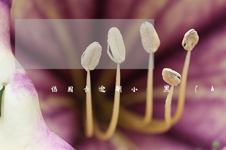 信用卡逾期小貸黑戶(hù)