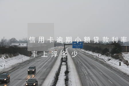 信用卡逾期小額貸款利率(信用卡逾期貸款利率上浮多少)