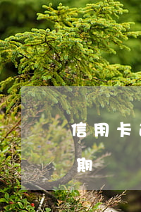 信用卡逾期小额贷款吗(什么是信用卡贷款逾期)