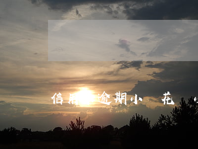 信用卡逾期小鵝花錢(小鵝花錢 信用卡)