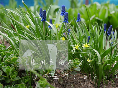 信用卡逾期少于五萬(wàn)(信用卡逾期少于五萬(wàn))